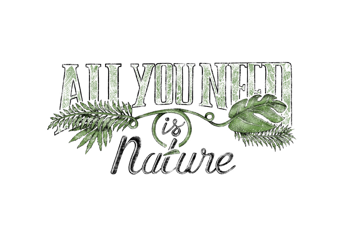 Flowhynot-florent-beaufils-illustration-bonobo-jeans