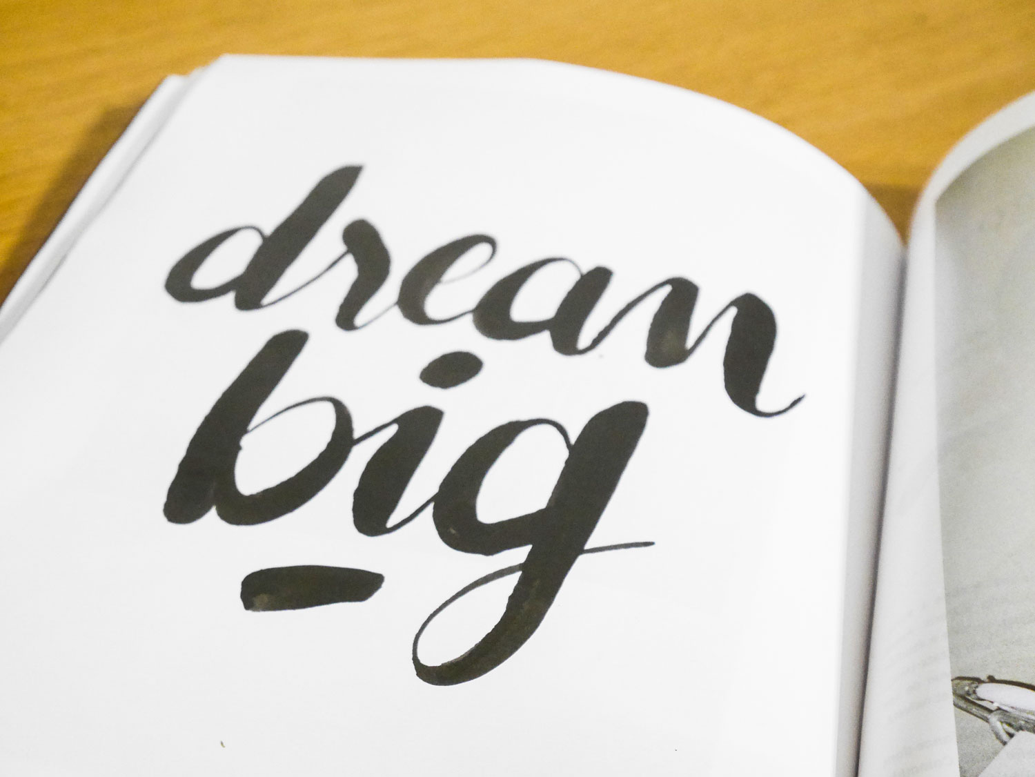 illustration-typographie-florent-beaufils-flowhynot-paulette-magazine-karma