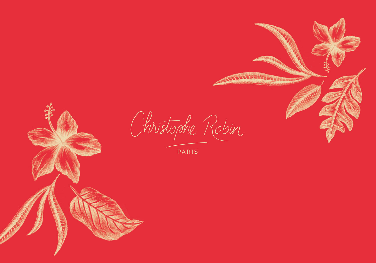 illustration-typographie-florent-beaufils-flowhynot-christophe-robin