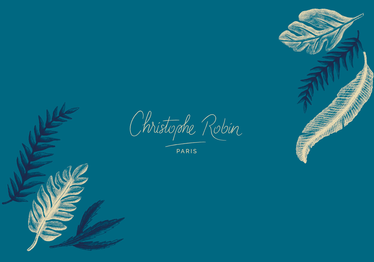 illustration-typographie-florent-beaufils-flowhynot-christophe-robin