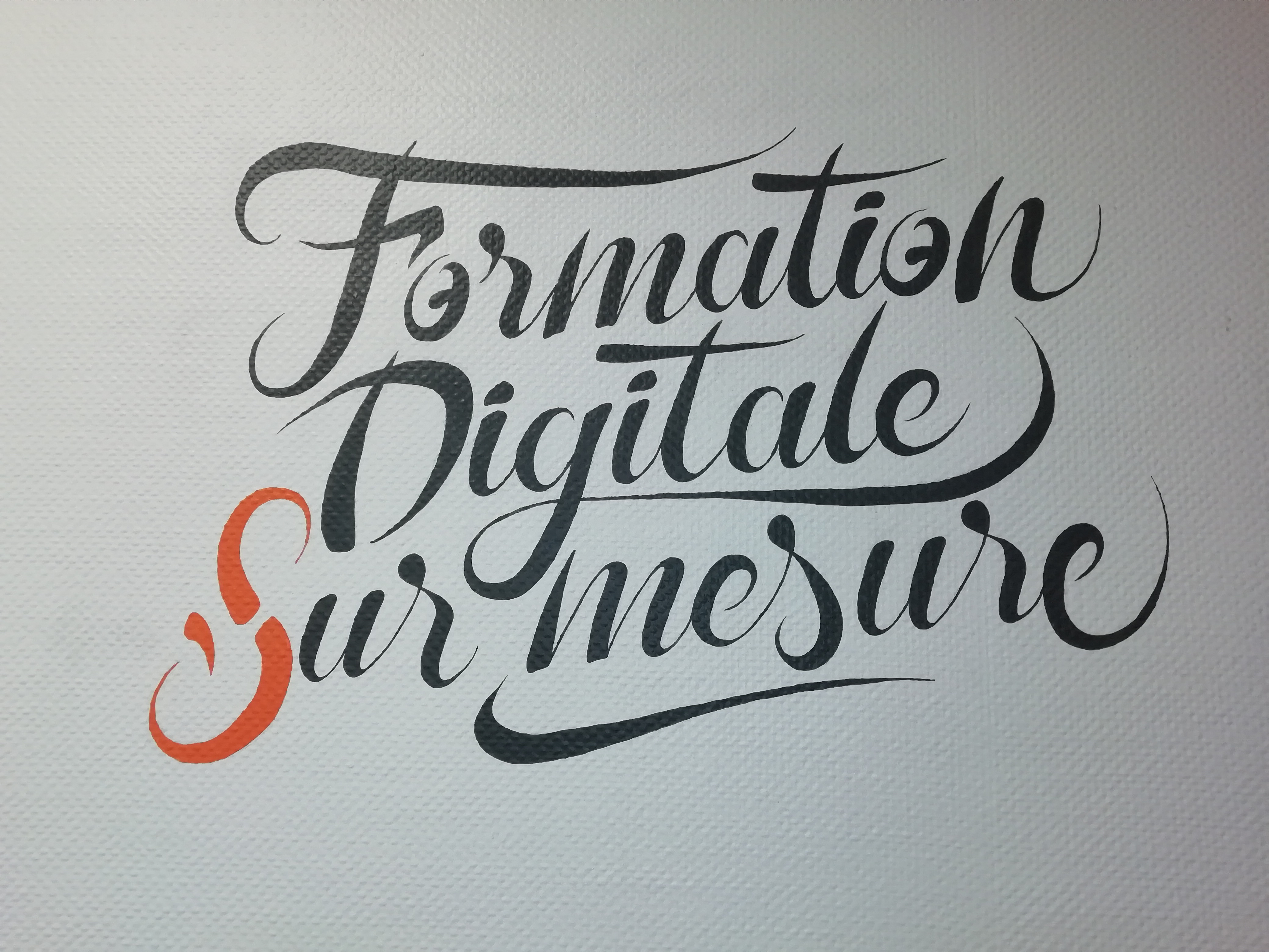 florent-beaufils-flowhynot-graphiste-illustrateur-typographe-syntheses