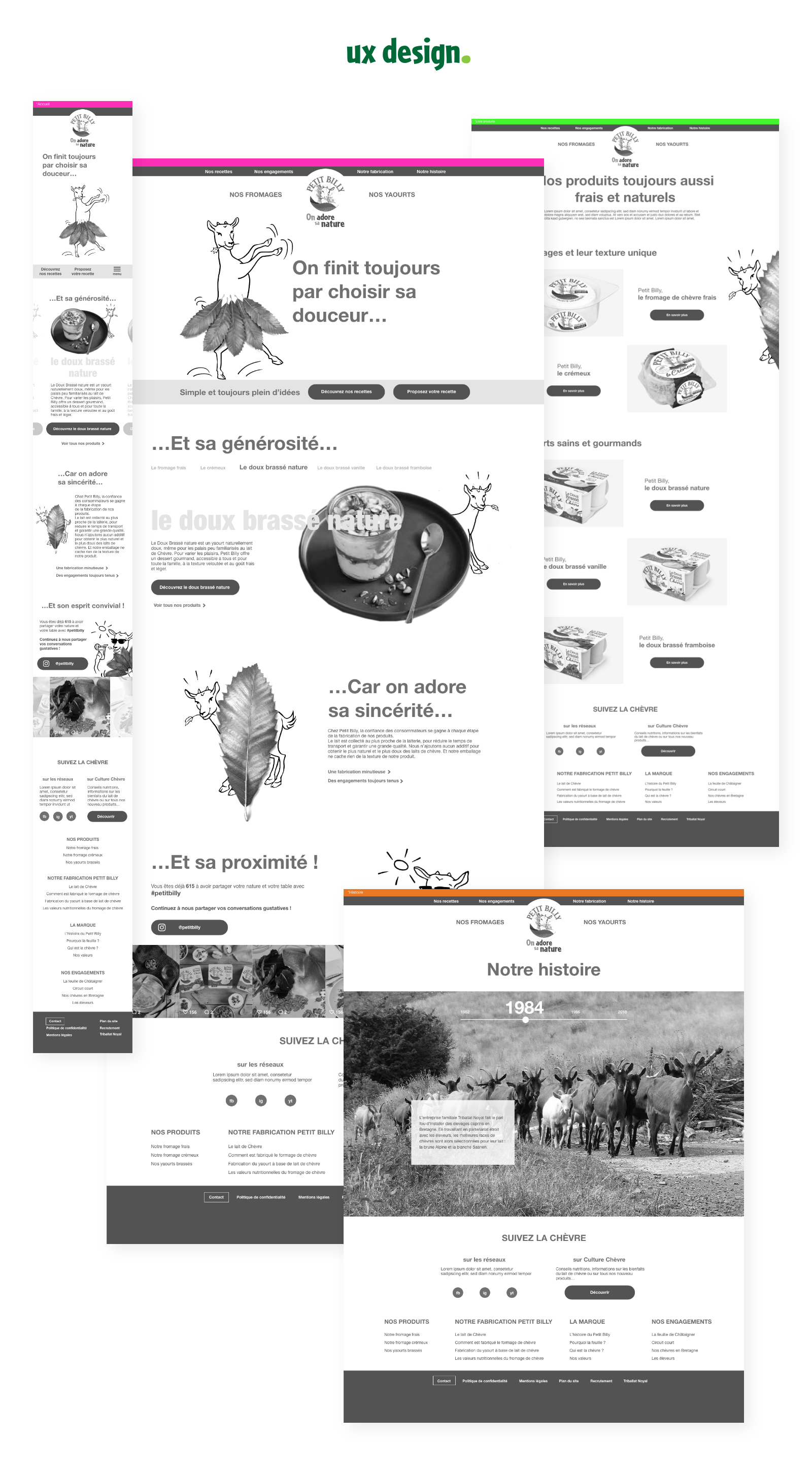 florent-beaufils-flowhynot-graphiste-webdesign-ux-design-petit-billy
