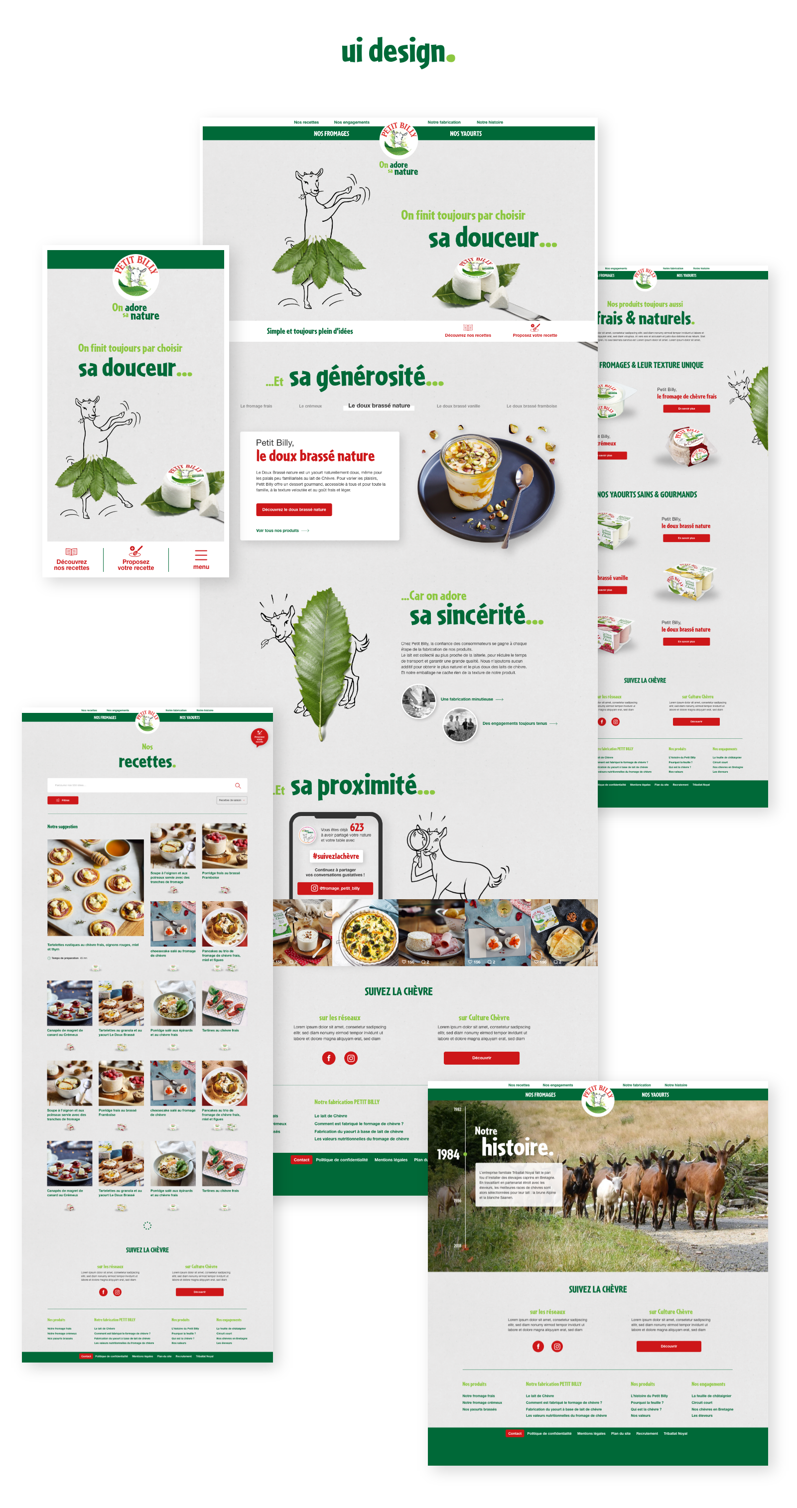 florent-beaufils-flowhynot-graphiste-webdesign-ux-design-petit-billy